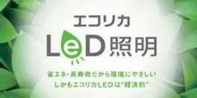 �����ꥫLED����