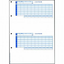 オービック 6202 単票封筒用支給明細書