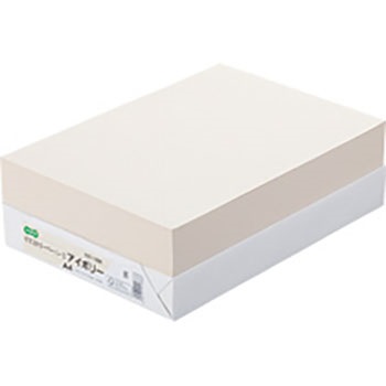 αエコカラーペーパーII AEC-IVA4B アイボリー A4 500枚 汎用品