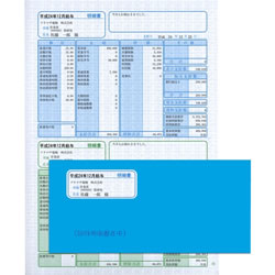 ソリマチ SR281 給与・賞与明細(明細タテ型)・封筒割引セット