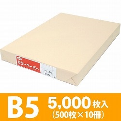 サクラカラーペーパー B5判 薄口 アイボリー色