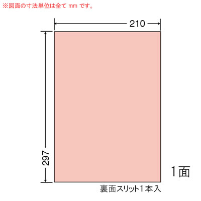 ナナ CL-7R マルチタイプカラーラベル レッド