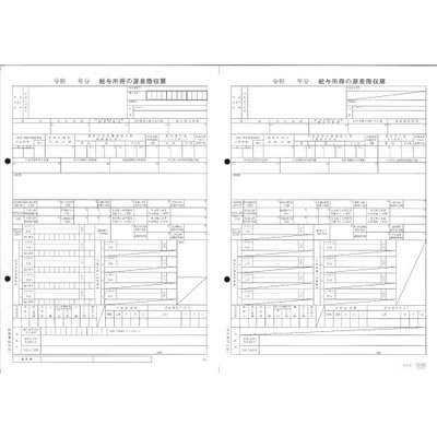 オービック 6109-G20 単票源泉徴収票（給与支払報告書なし）