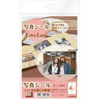 エーワン 29629 写真シールExtra-Large フォト光沢紙